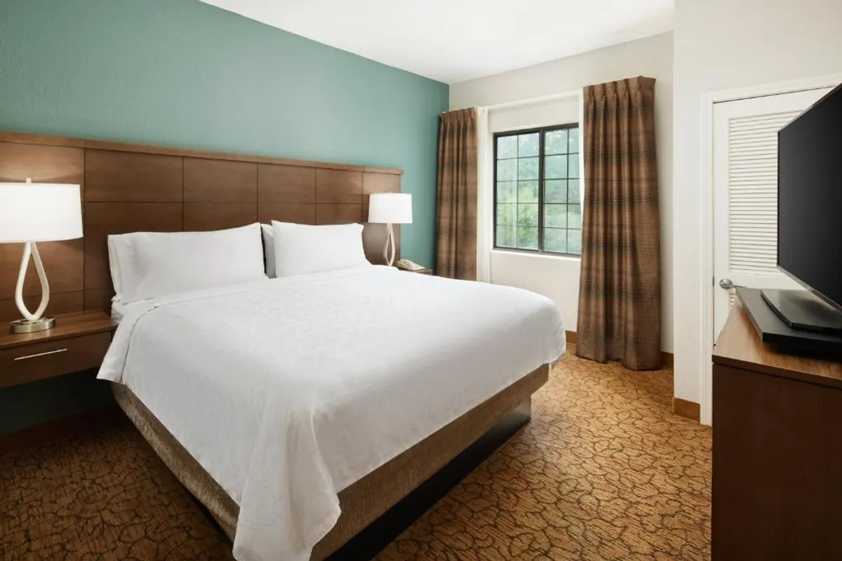 The hero image showcases a bright, spacious studio interior with a cozy queen bed positioned near a large window that lets in ample natural light. Modern lighting fixtures create a warm ambiance. A flat-screen TV is perfectly placed for comfortable viewing from the bed, and overall the space feels inviting and restful.